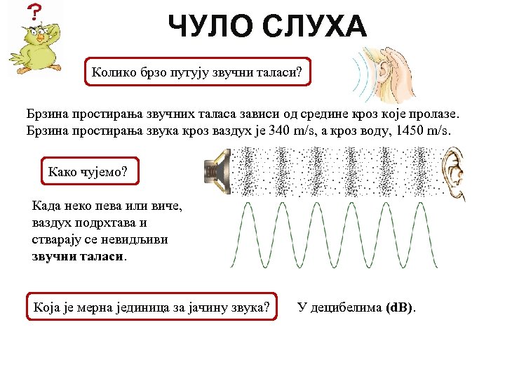 ЧУЛО СЛУХА Колико брзо путују звучни таласи? Брзина простирања звучних таласа зависи од средине