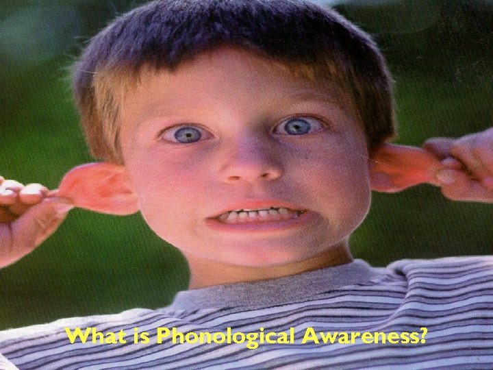 What is Phonological Awareness? 