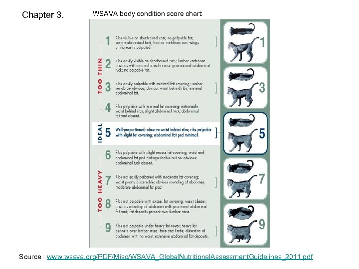 Chapter 3. WSAVA body condition score chart: Source : www. wsava. org/PDF/Misc/WSAVA_Global. Nutritional. Assessment.