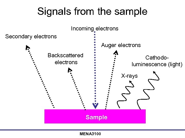 Signals from the sample Incoming electrons Secondary electrons Auger electrons Backscattered electrons Cathodoluminescence (light)