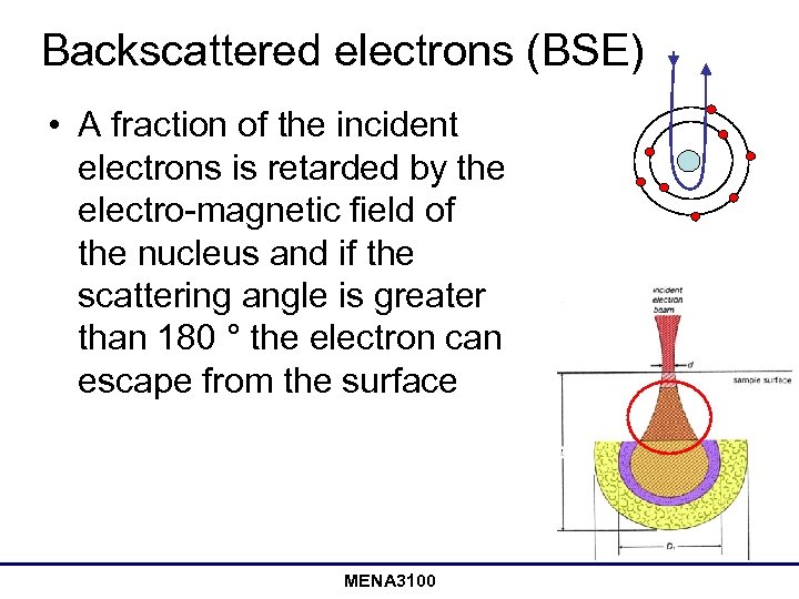 Backscattered electrons (BSE) • A fraction of the incident electrons is retarded by the
