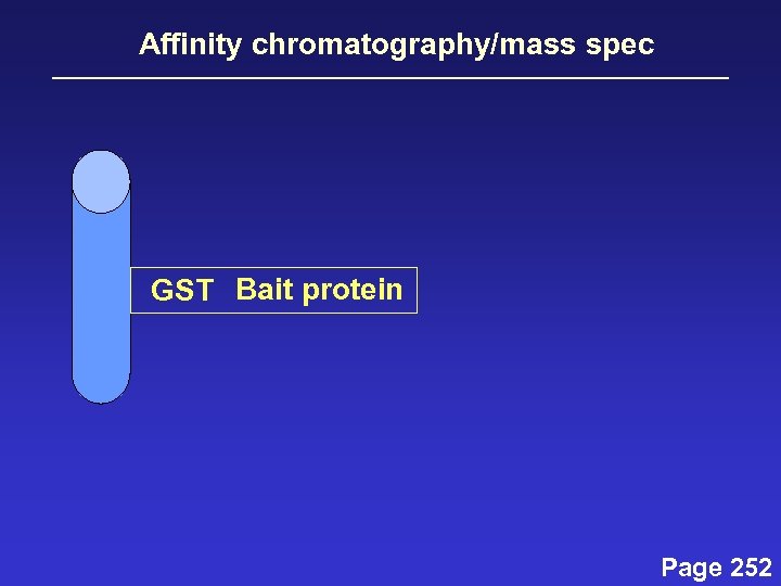 Affinity chromatography/mass spec GST Bait protein Page 252 