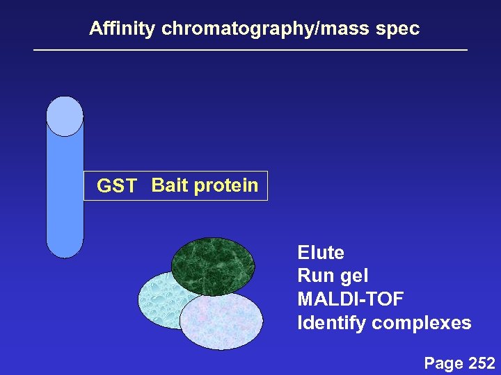 Affinity chromatography/mass spec GST Bait protein Elute Run gel MALDI-TOF Identify complexes Page 252