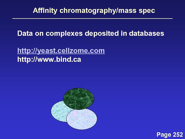 Affinity chromatography/mass spec Data on complexes deposited in databases http: //yeast. cellzome. com http: