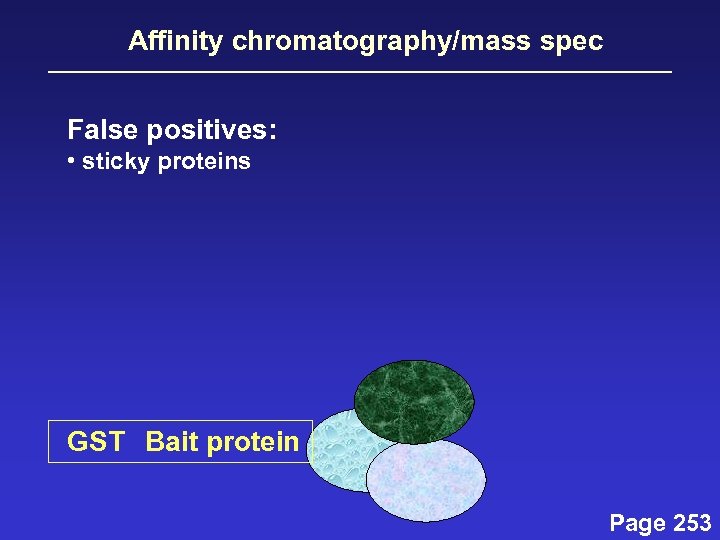 Affinity chromatography/mass spec False positives: • sticky proteins GST Bait protein Page 253 