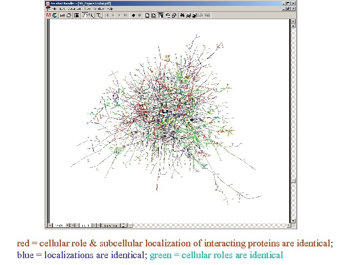 red = cellular role & subcellular localization of interacting proteins are identical; blue =