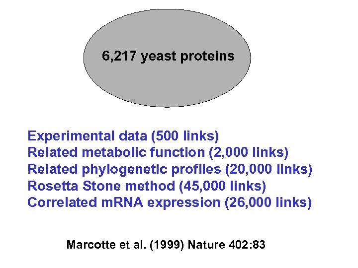 6, 217 yeast proteins Experimental data (500 links) Related metabolic function (2, 000 links)