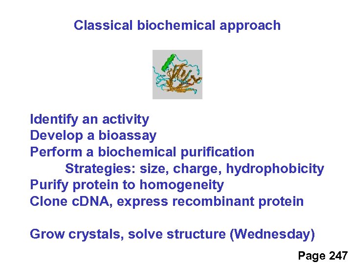 Classical biochemical approach Identify an activity Develop a bioassay Perform a biochemical purification Strategies: