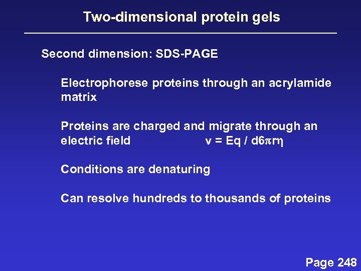 Two-dimensional protein gels Second dimension: SDS-PAGE Electrophorese proteins through an acrylamide matrix Proteins are