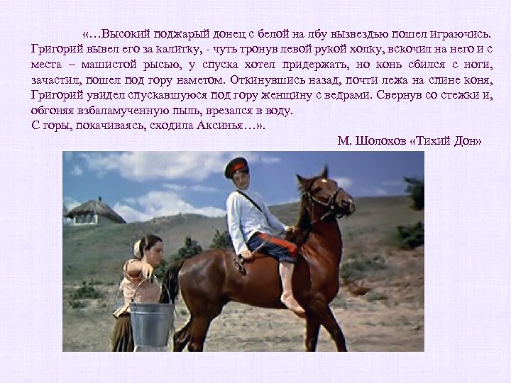  «…Высокий поджарый донец с белой на лбу вызвездью пошел играючись. Григорий вывел его