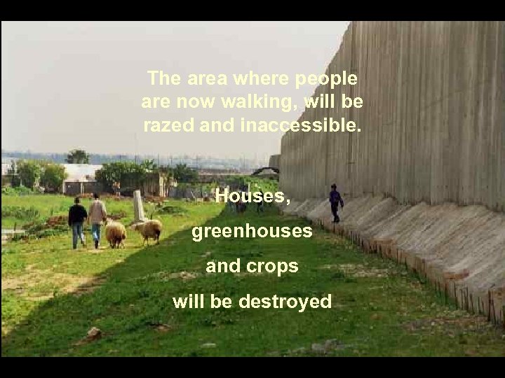 The area where people are now walking, will be razed and inaccessible. Houses, greenhouses