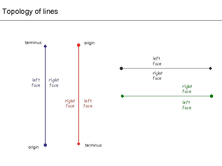 Topology of lines terminus origin left face right face origin left face terminus left