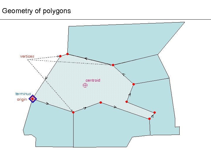 Geometry of polygons vertices > > > > terminus origin centroid 