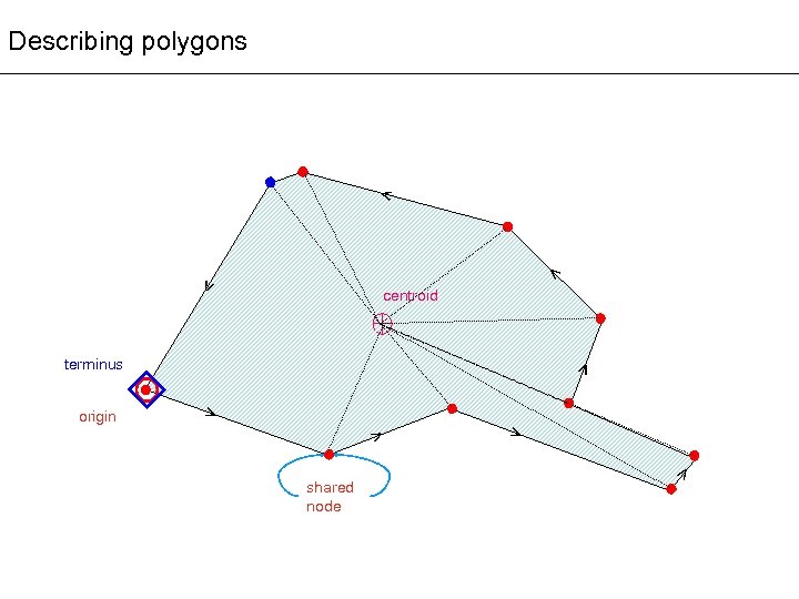 Describing polygons > > > centroid > > shared node > > origin >