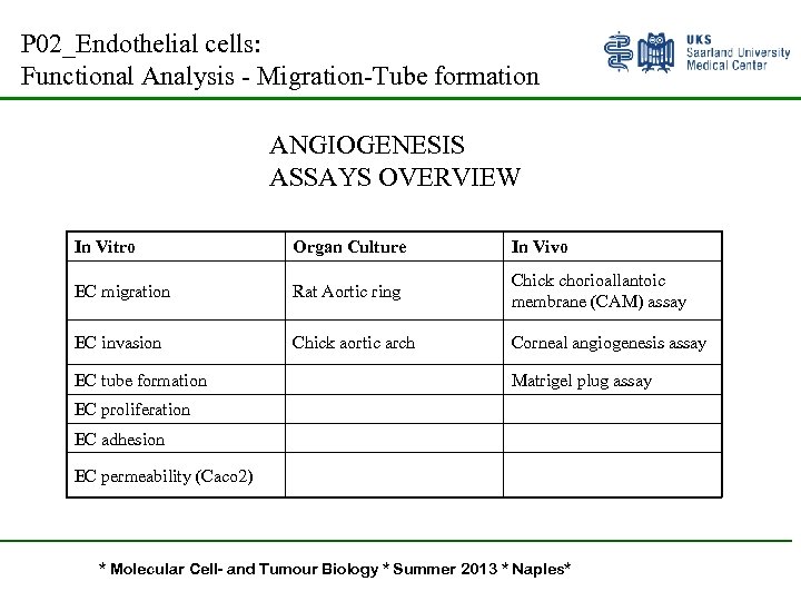 P 02_Endothelial cells: Functional Analysis - Migration-Tube formation ANGIOGENESIS ASSAYS OVERVIEW In Vitro Organ