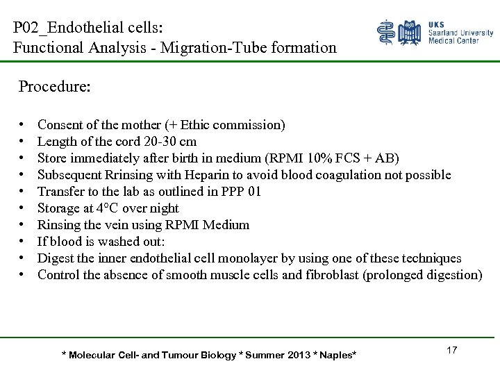 P 02_Endothelial cells: Functional Analysis - Migration-Tube formation Procedure: • • • Consent of