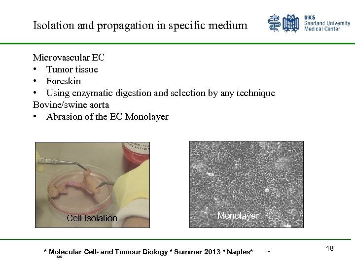 Isolation and propagation in specific medium Microvascular EC • Tumor tissue • Foreskin •