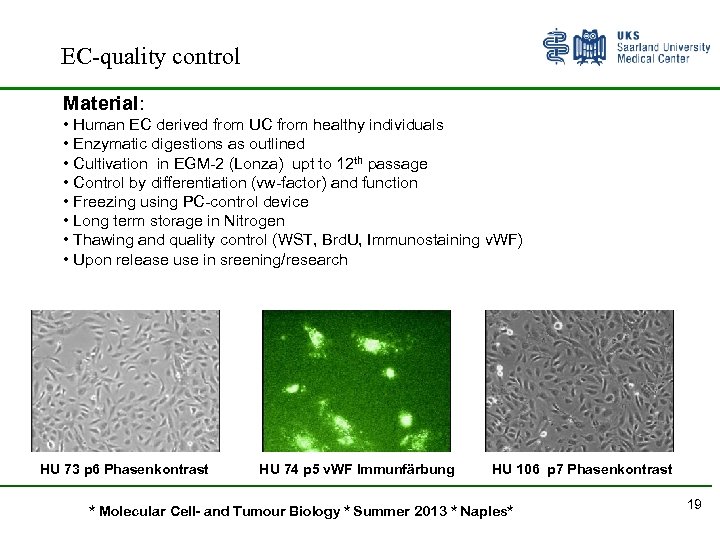 EC-quality control Material: • Human EC derived from UC from healthy individuals • Enzymatic