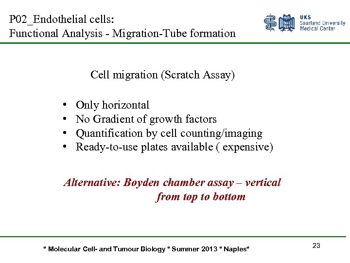 P 02_Endothelial cells: Functional Analysis - Migration-Tube formation Cell migration (Scratch Assay) • •