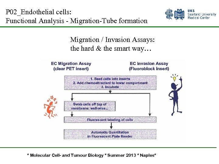 P 02_Endothelial cells: Functional Analysis - Migration-Tube formation Migration / Invasion Assays: the hard