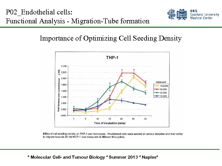 P 02_Endothelial cells: Functional Analysis - Migration-Tube formation Importance of Optimizing Cell Seeding Density