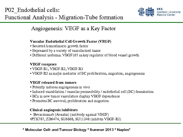 P 02_Endothelial cells: Functional Analysis - Migration-Tube formation Angiogenesis: VEGF as a Key Factor