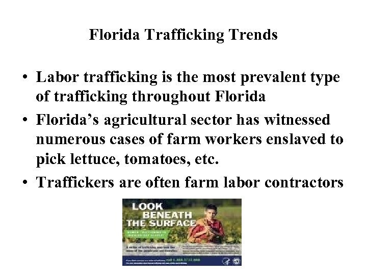 Florida Trafficking Trends • Labor trafficking is the most prevalent type of trafficking throughout