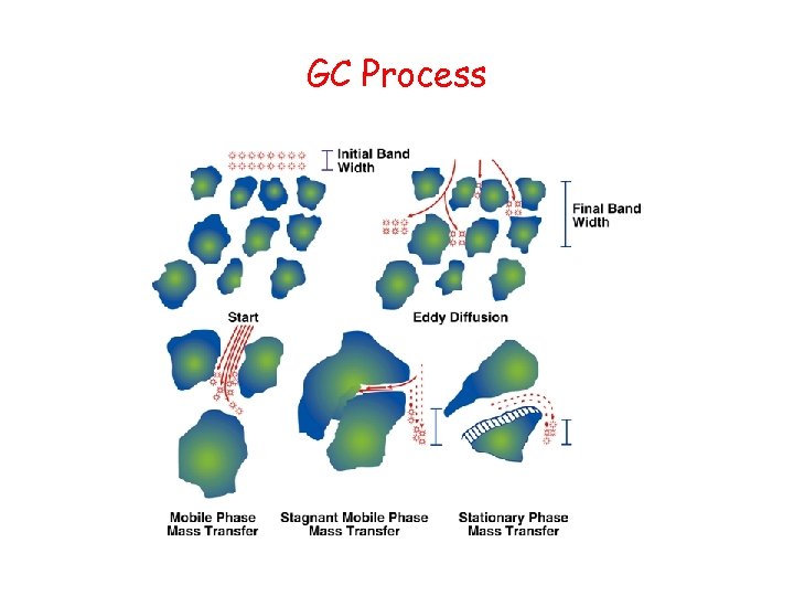 GC Process 