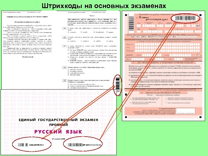 Общий экзамен уровень 1. 5254402 ЕГЭ. Базовые экзамены в игре Малиновки правило Гипократы.