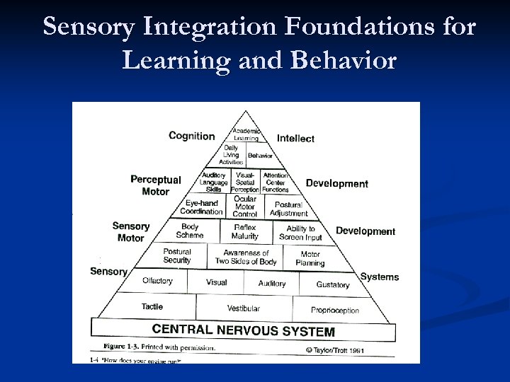 Sensory Integration Foundations for Learning and Behavior 