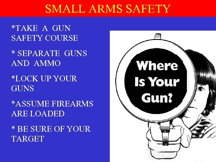 SMALL ARMS SAFETY *TAKE A GUN SAFETY COURSE * SEPARATE GUNS AND AMMO *LOCK