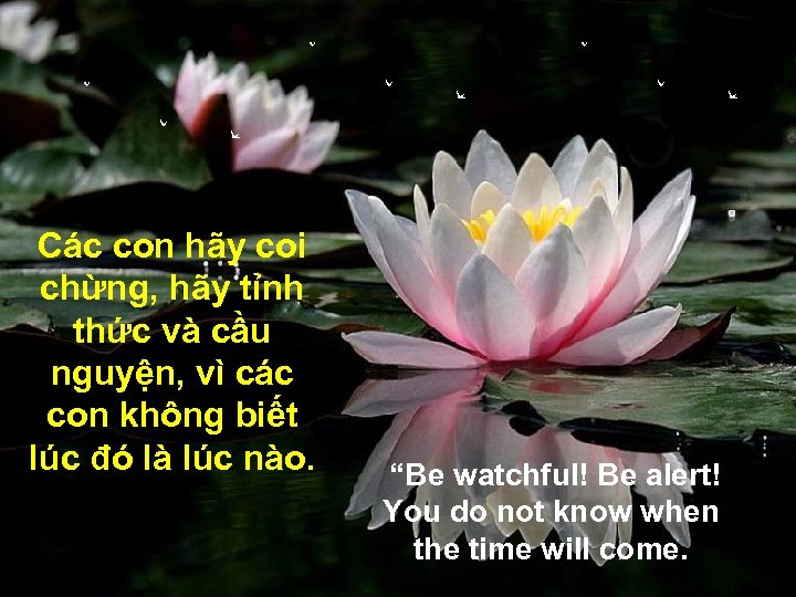 Các con hãy coi chừng, hãy tỉnh thức và cầu nguyện, vì các con