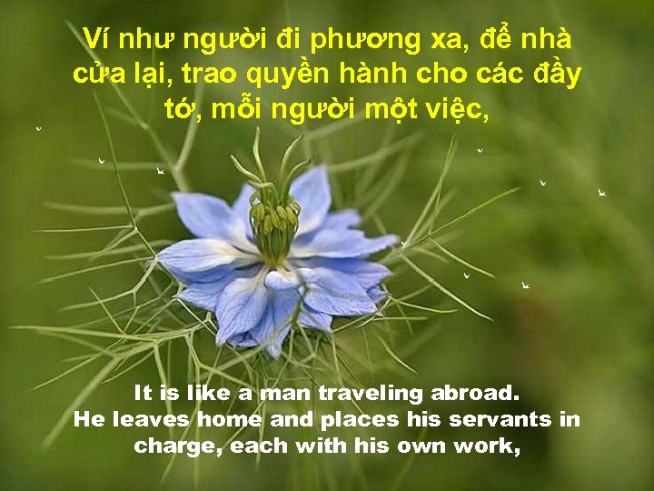 Ví như người đi phương xa, để nhà cửa lại, trao quyền hành cho