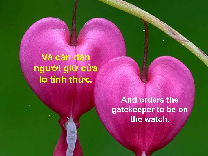 Và căn dặn người giữ cửa lo tỉnh thức. And orders the gatekeeper to