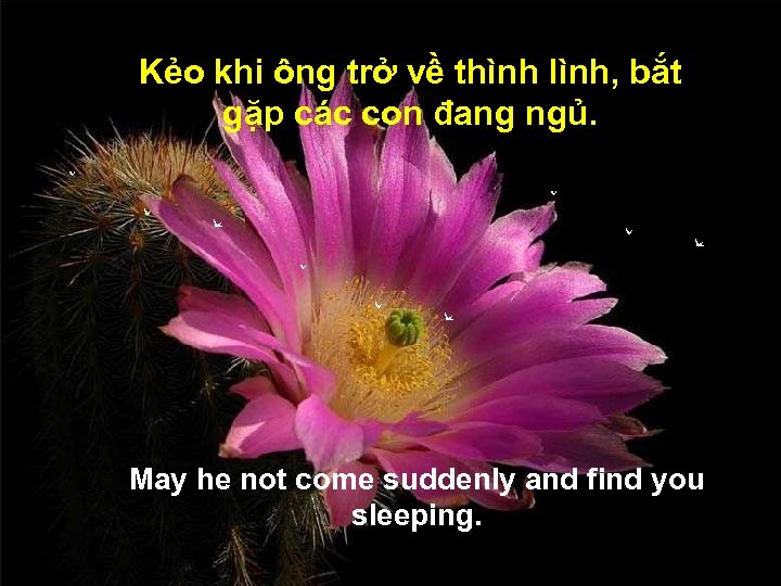 Kẻo khi ông trở về thình lình, bắt gặp các con đang ngủ. May