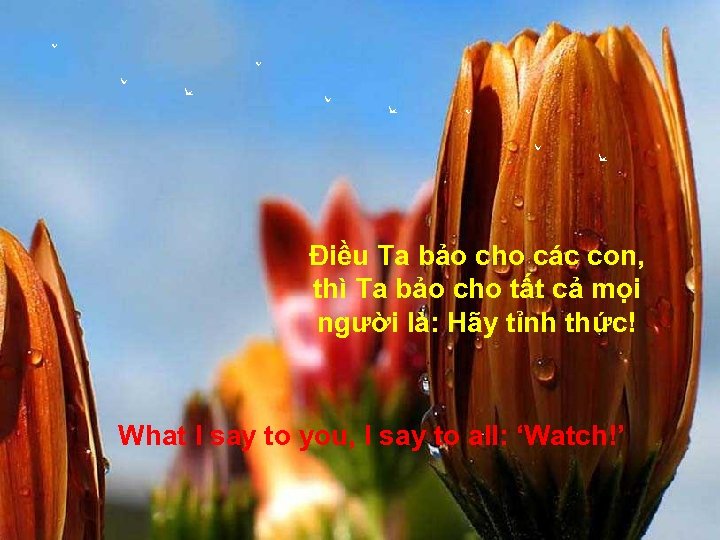 Điều Ta bảo cho các con, thì Ta bảo cho tất cả mọi người