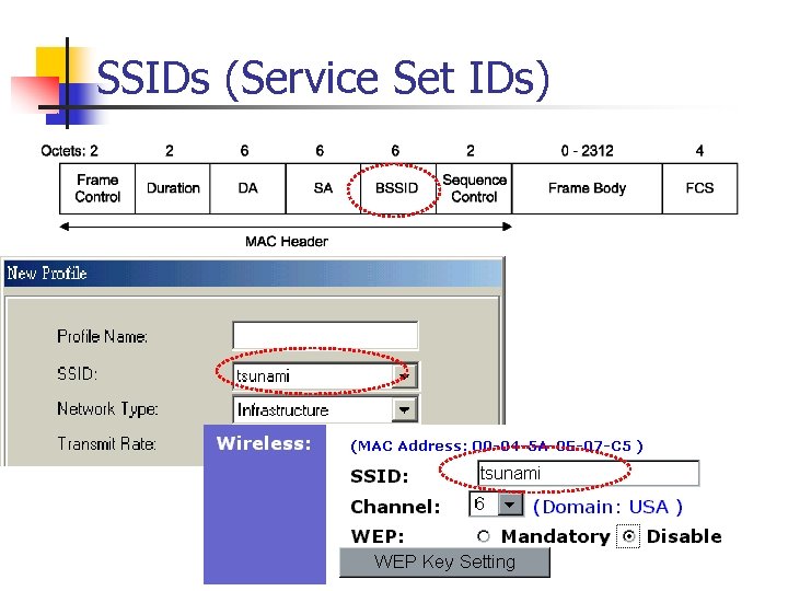 SSIDs (Service Set IDs) 