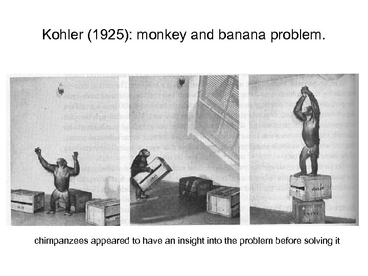 Kohler (1925): monkey and banana problem. chimpanzees appeared to have an insight into the