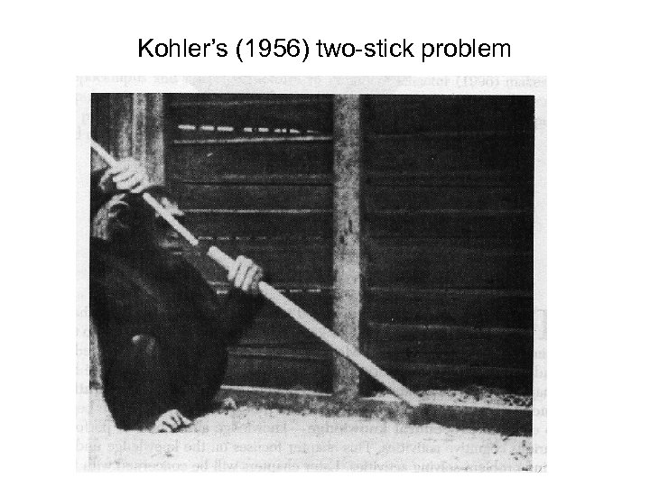 Kohler’s (1956) two-stick problem 