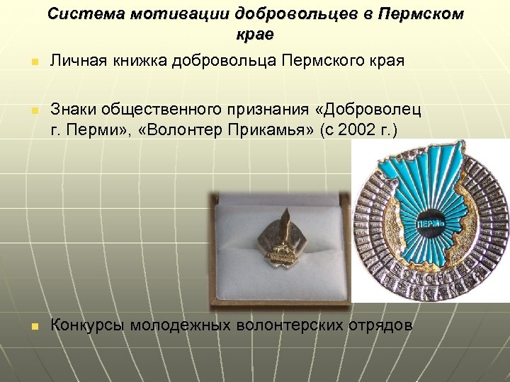 n n n Система мотивации добровольцев в Пермском крае Личная книжка добровольца Пермского края