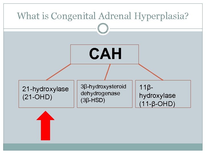 What is Congenital Adrenal Hyperplasia? CAH 21 -hydroxylase (21 -OHD) 3β-hydroxysteroid dehydrogenase (3β-HSD) 11βhydroxylase