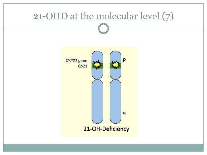 21 -OHD at the molecular level (7) 