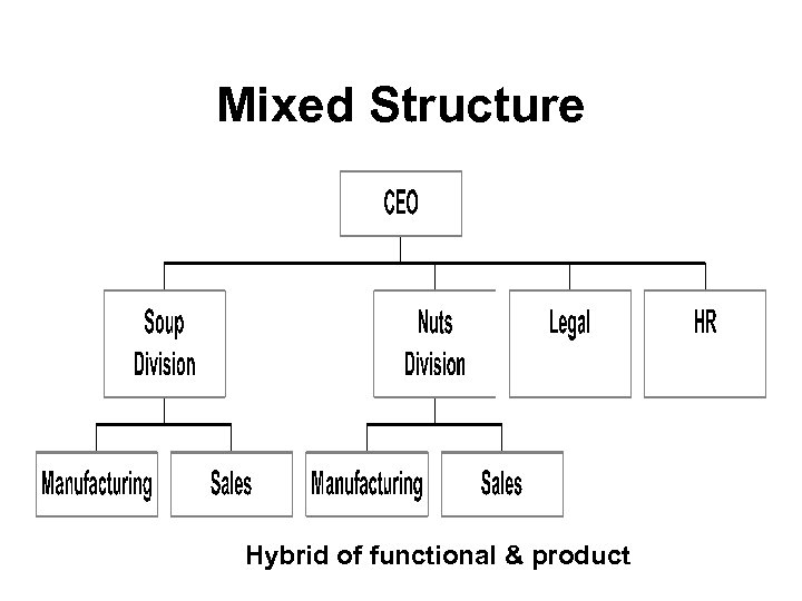 Mixed Structure Hybrid of functional & product 