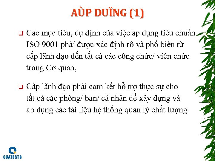 AÙP DUÏNG (1) q Các mục tiêu, dự định của việc áp dụng tiêu