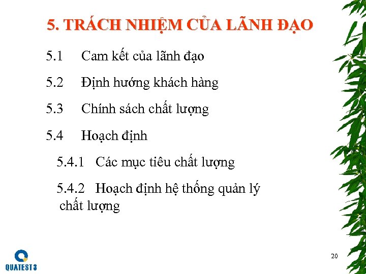 5. TRÁCH NHIỆM CỦA LÃNH ĐẠO 5. 1 Cam kết của lãnh đạo 5.