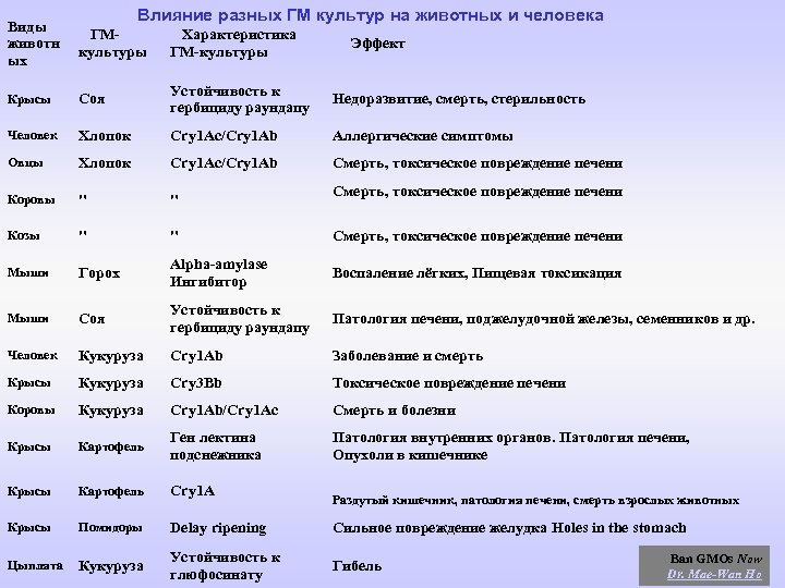 Влияние разных ГМ культур на животных и человека Виды животн ых ГМ- культуры Характеристика