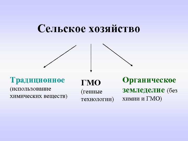  Сельское хозяйство Традиционное (использование химических веществ) ГМО (генные технологии) Органическое земледелие (без химии