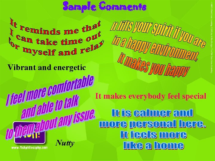 Sample Comments Vibrant and energetic It makes everybody feel special Nutty 