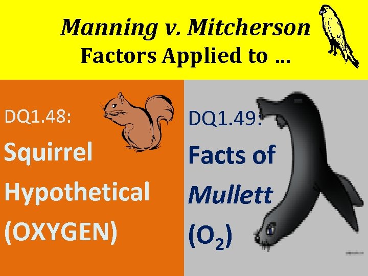 Manning v. Mitcherson Factors Applied to … DQ 1. 48: DQ 1. 49: Squirrel
