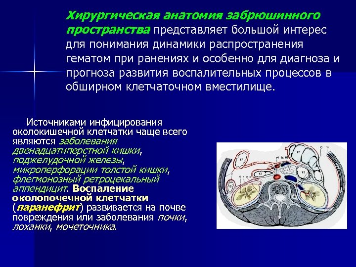 Забрюшинное пространство презентация